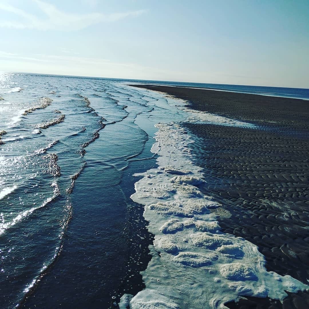 Белое море балтийское море. Галоклин белого и Баренцева морей. Белое море Тоня Гремяха. Белое море океан. Береговая линия белого моря.