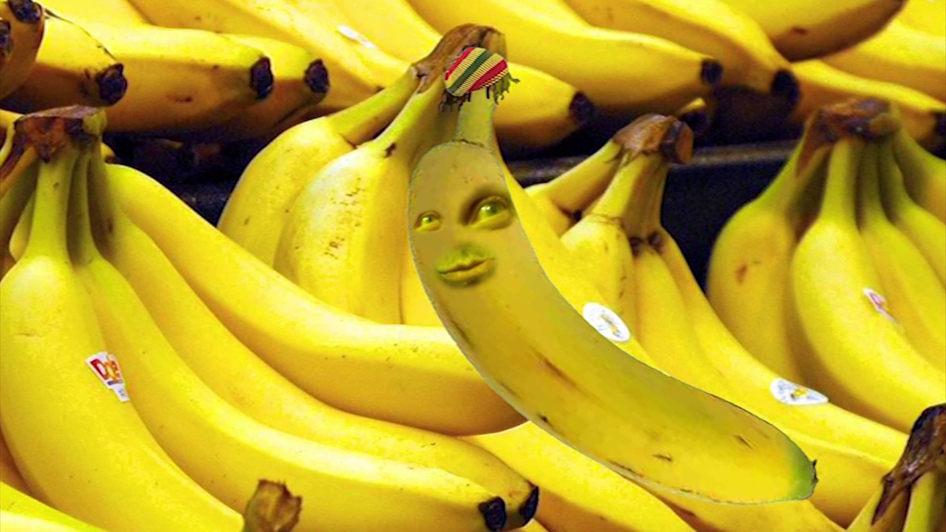 Включи big banana. Банан. Большие бананы. Самый большой банан. Желтый банан.