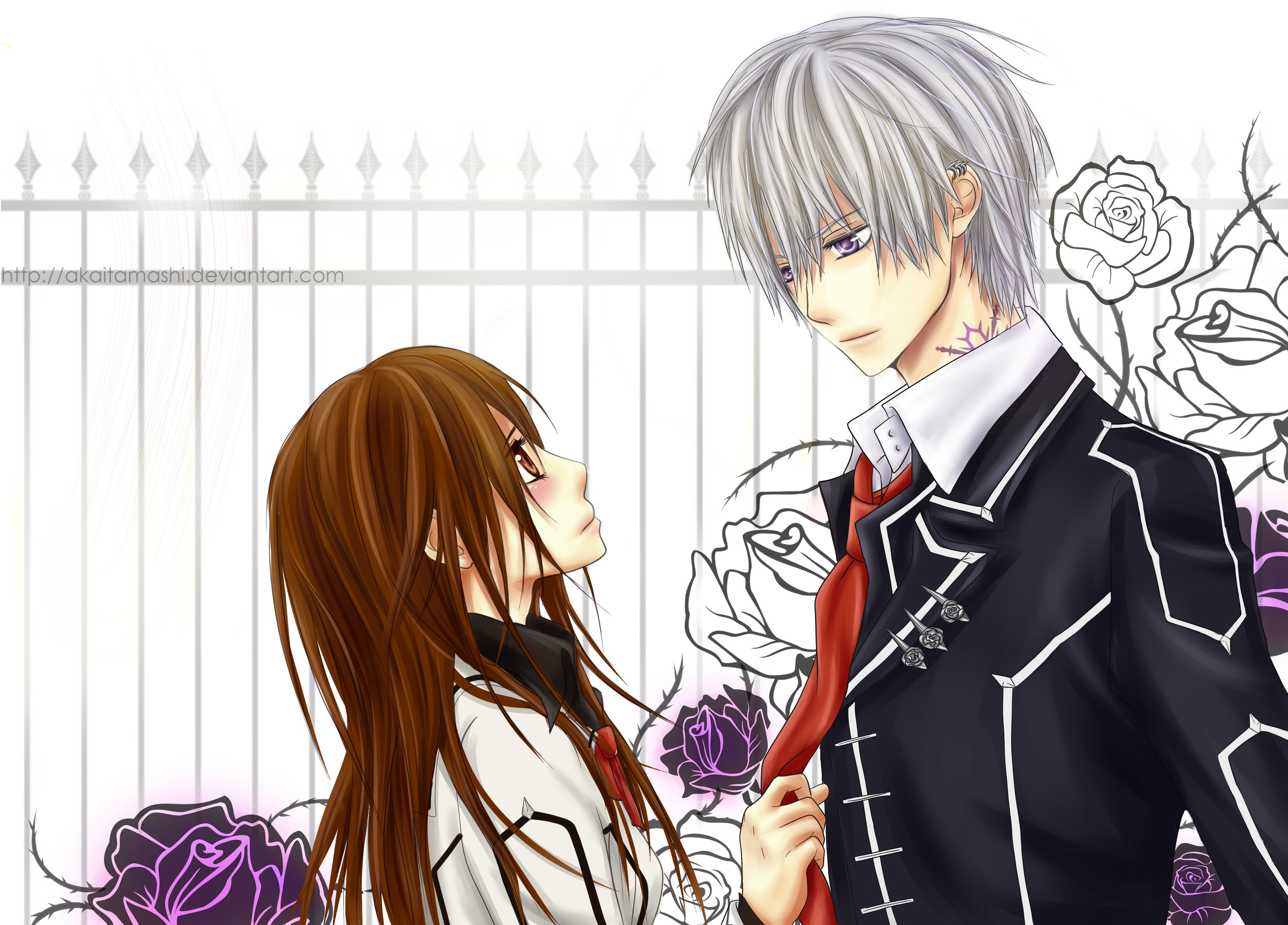 Vampire knight. Аниме рыцарь вампир Юки и Зеро. Рыцарь вампир Юки Зеро Канаме. Рыцарь вампир Зеро и Канаме. Зеро Кирию и Юки кросс.