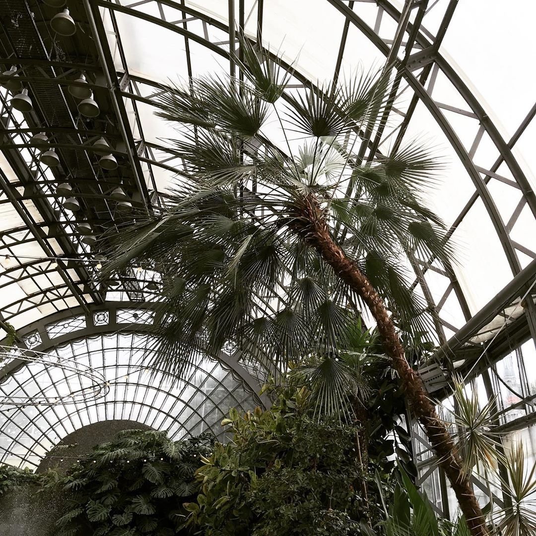 Таврический сад пальмовая оранжерея