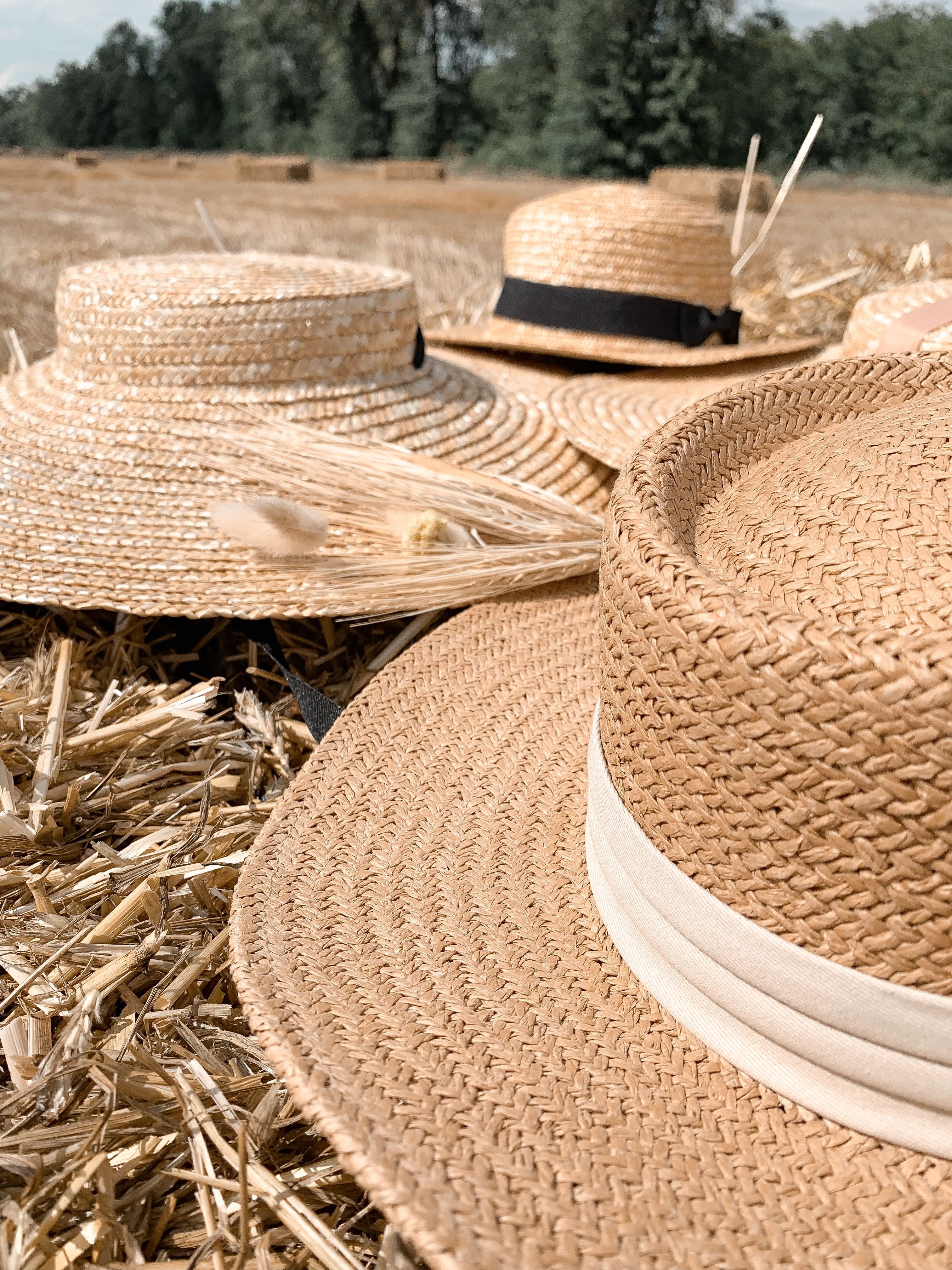Соломенные шляпы с полями. Канотье соломенная шляпа. Шляпа канотье фетровая. Соломенная Федора. Шляпа канотье из рафии.