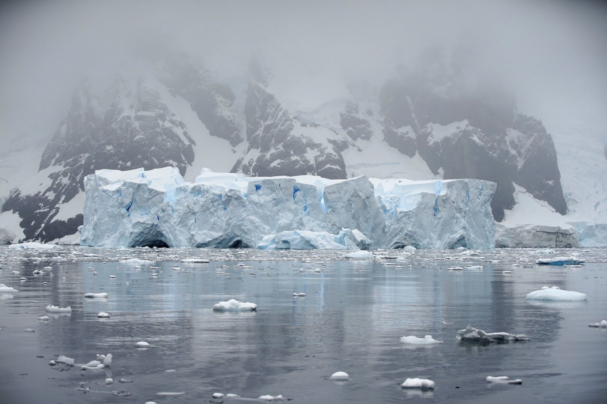 Ледник Ларсена в Антарктиде