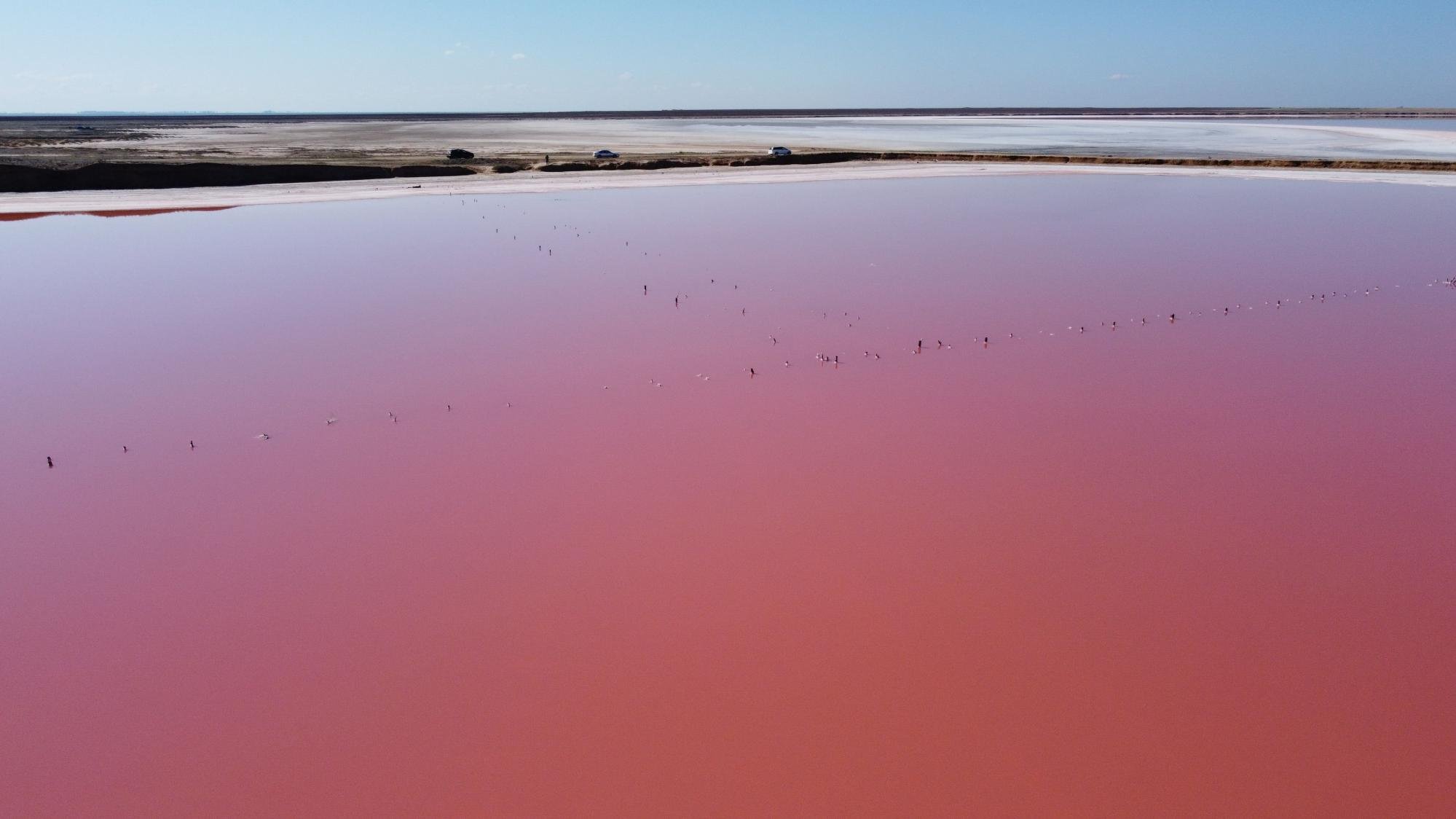 Азовское море розовое озеро