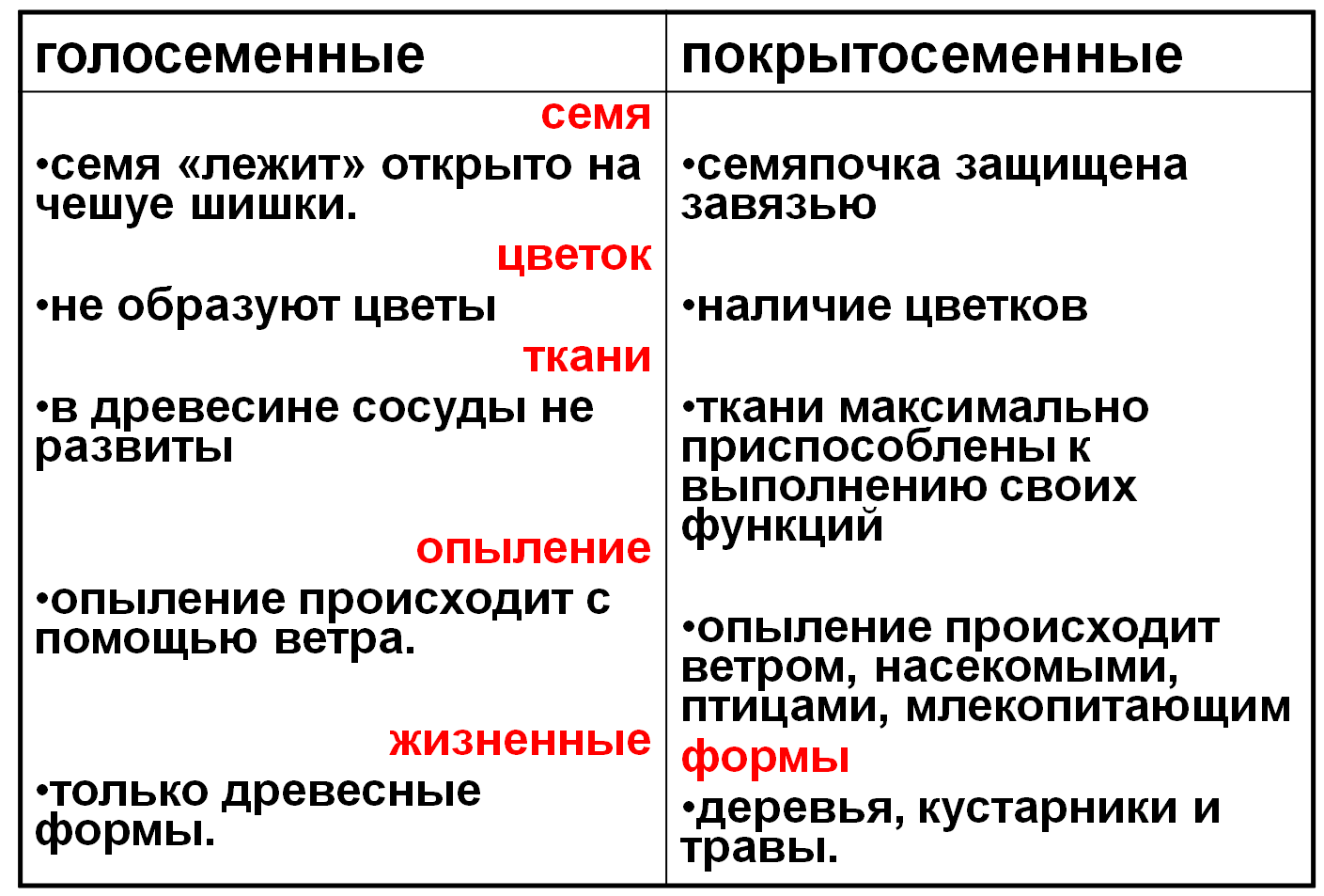 Классификация покрытосеменных презентация