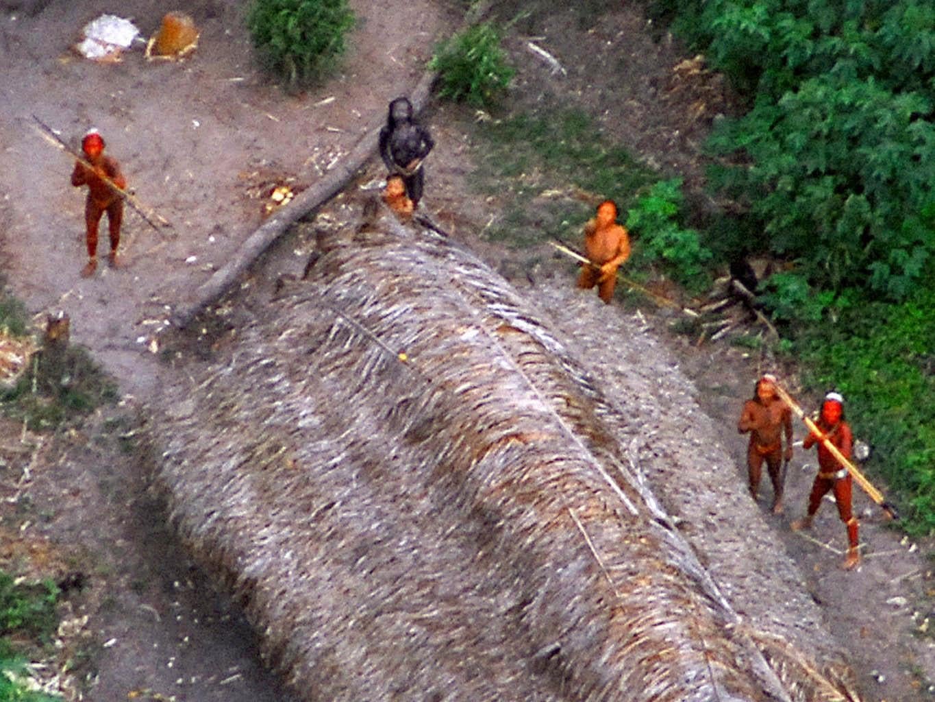 аборигены на сентинельском острове