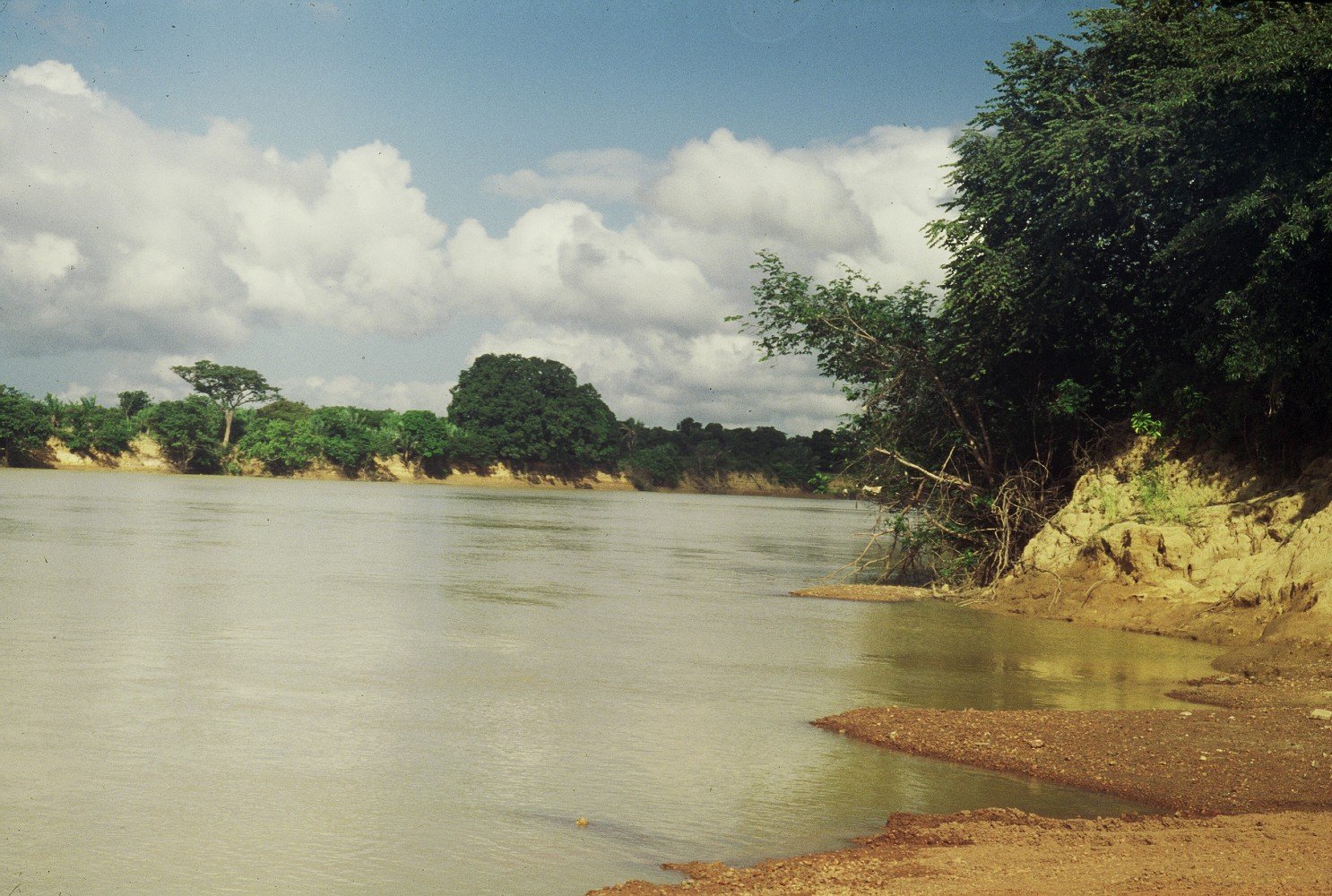 Река Ориноко природа