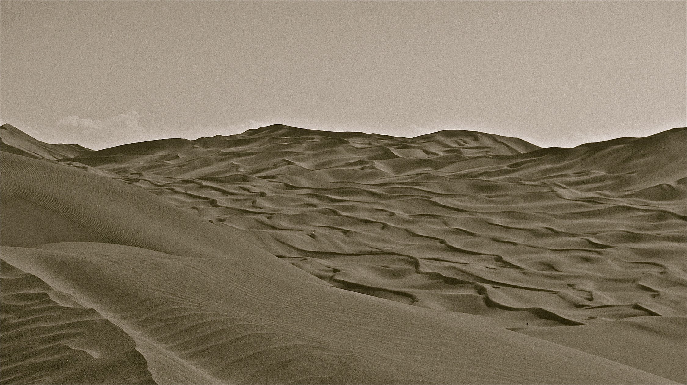 В какой части света пустыня такла макан. Такла-Макан. Такла-Макан песок. Пустыня Гоби и Такла Макан. Животные пустыни Такла Макан.