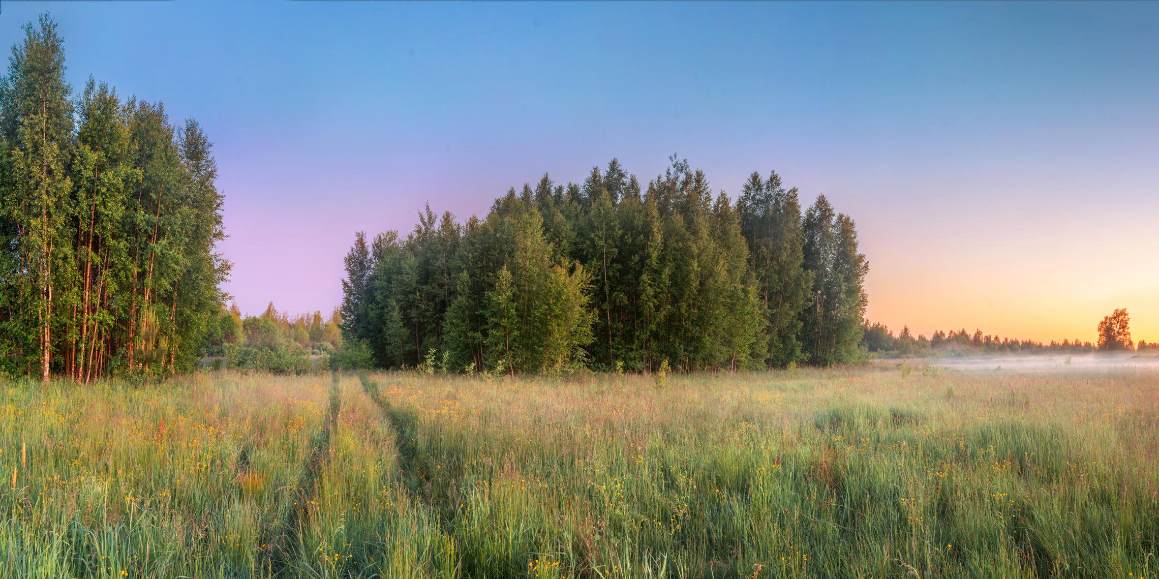 Какие выбрать для средней полосы. Леса средней полосы России. Пейзажи средней полосы России. Красивые пейзажи средней полосы. Летние пейзажи средней полосы.