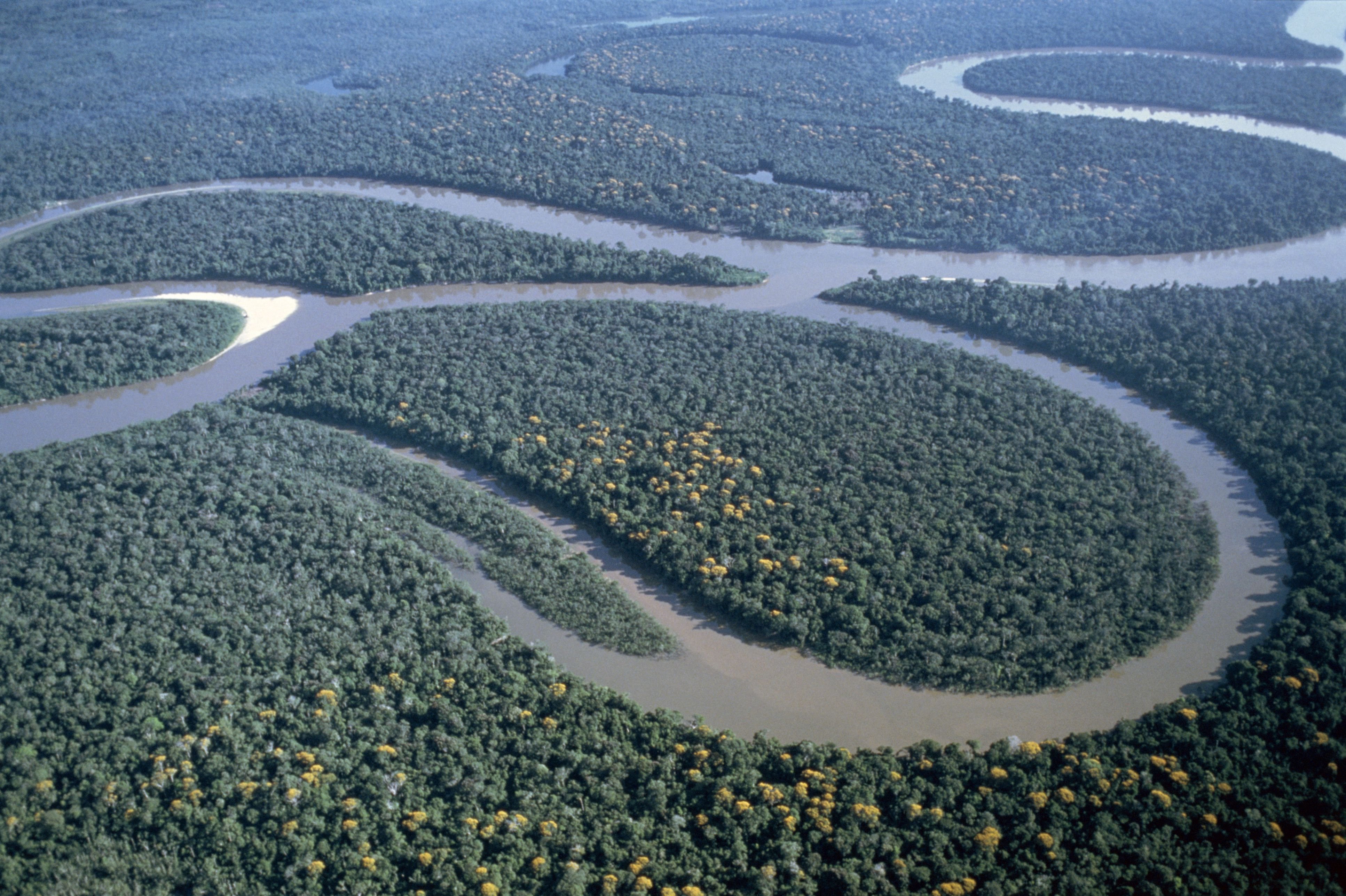Амазонка какое устье. Устье амазонки. Амазонка Укаяли Мараньон. Устье реки Амазонка.