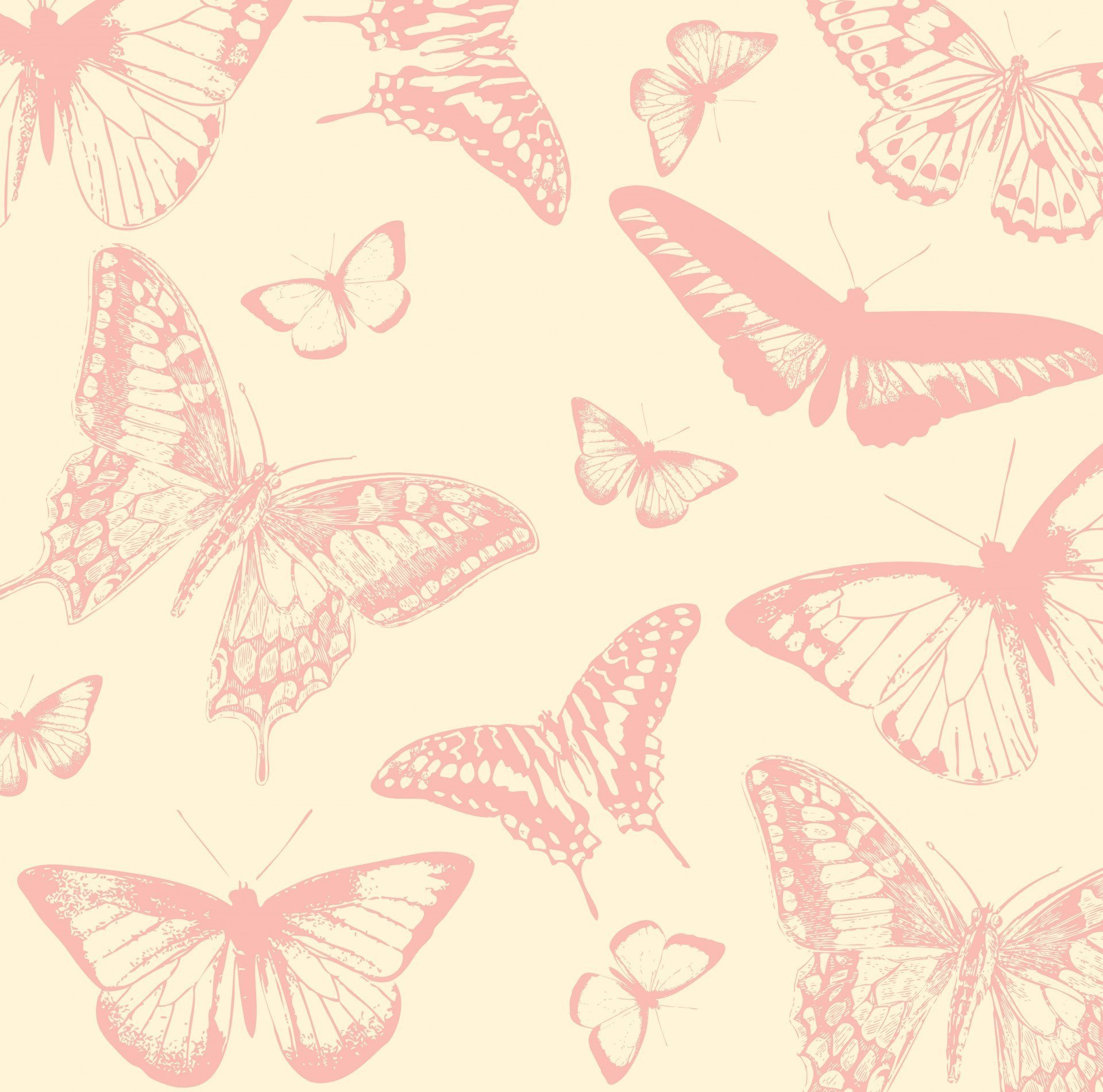 Бабочки розовые фон. Фон бабочки. Красивый фон с бабочками. Розовые бабочки. Розовый фон с бабочками.