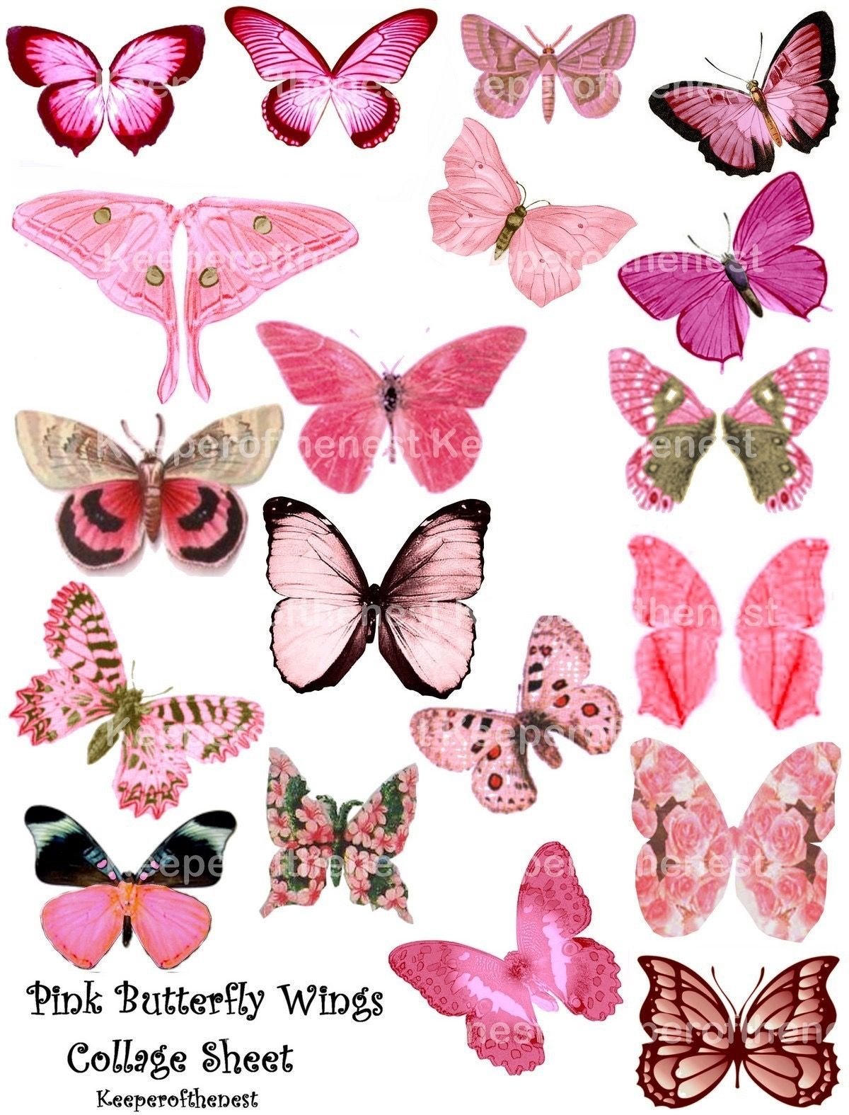 Бабочки розовые распечатать. Бабочки для скрапбукинга. Розовые бабочки. Принты бабочки. Розовые бабочки фотопечать.