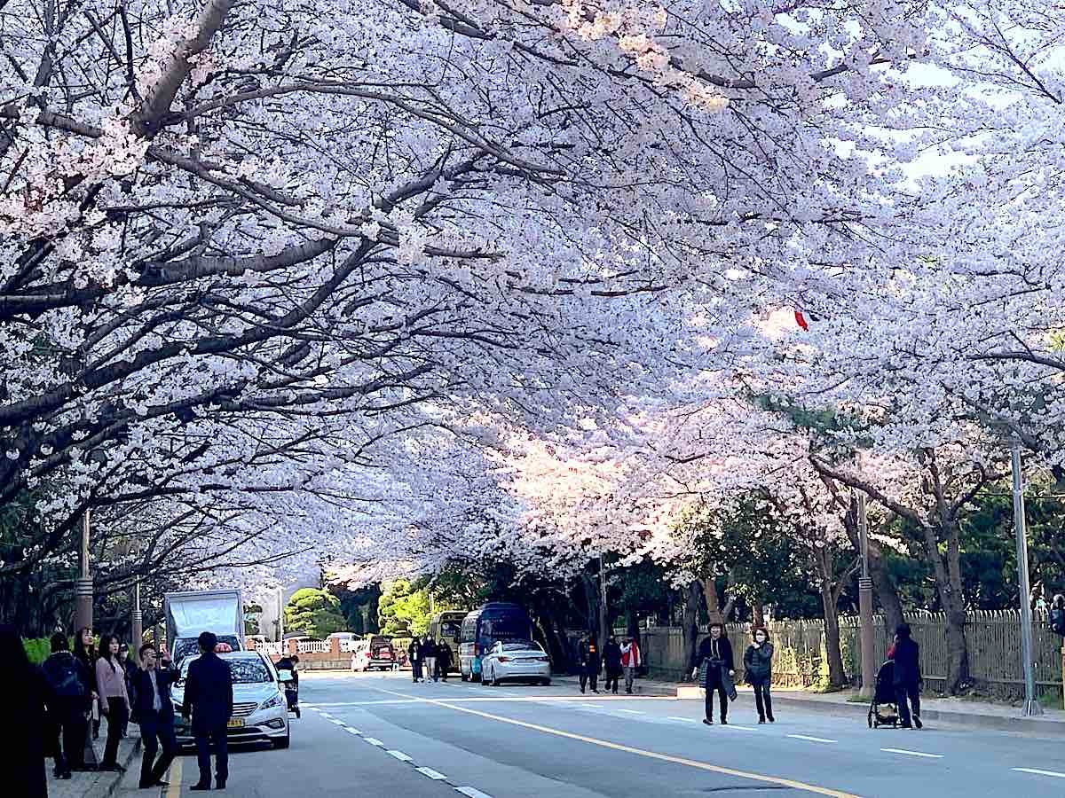 Сеул в марте