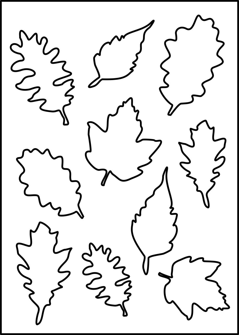 Красивые шаблоны листьев