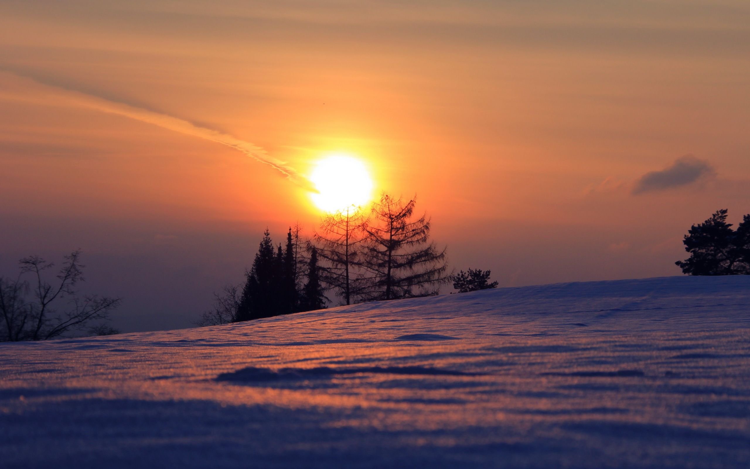 Красивое солнце зима. Рассвет зимой. Красивый зимний рассвет. Зима закат. Закат солнца зимой.