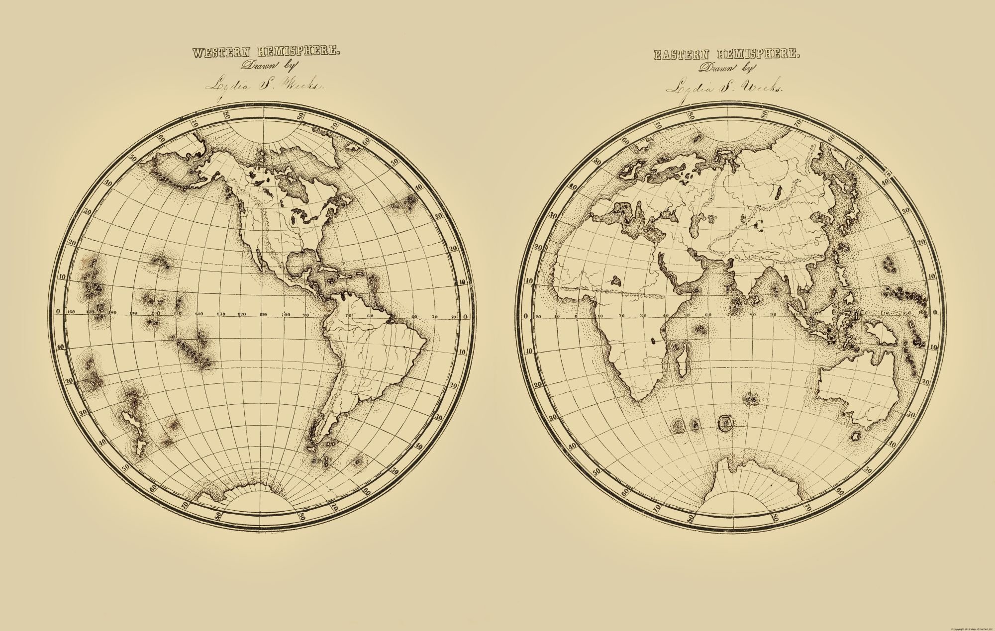 2 земных полушария. Карта полушарий. Карта полушарий земли. Карта восточного полушария. Физическая карта полушарий земли.