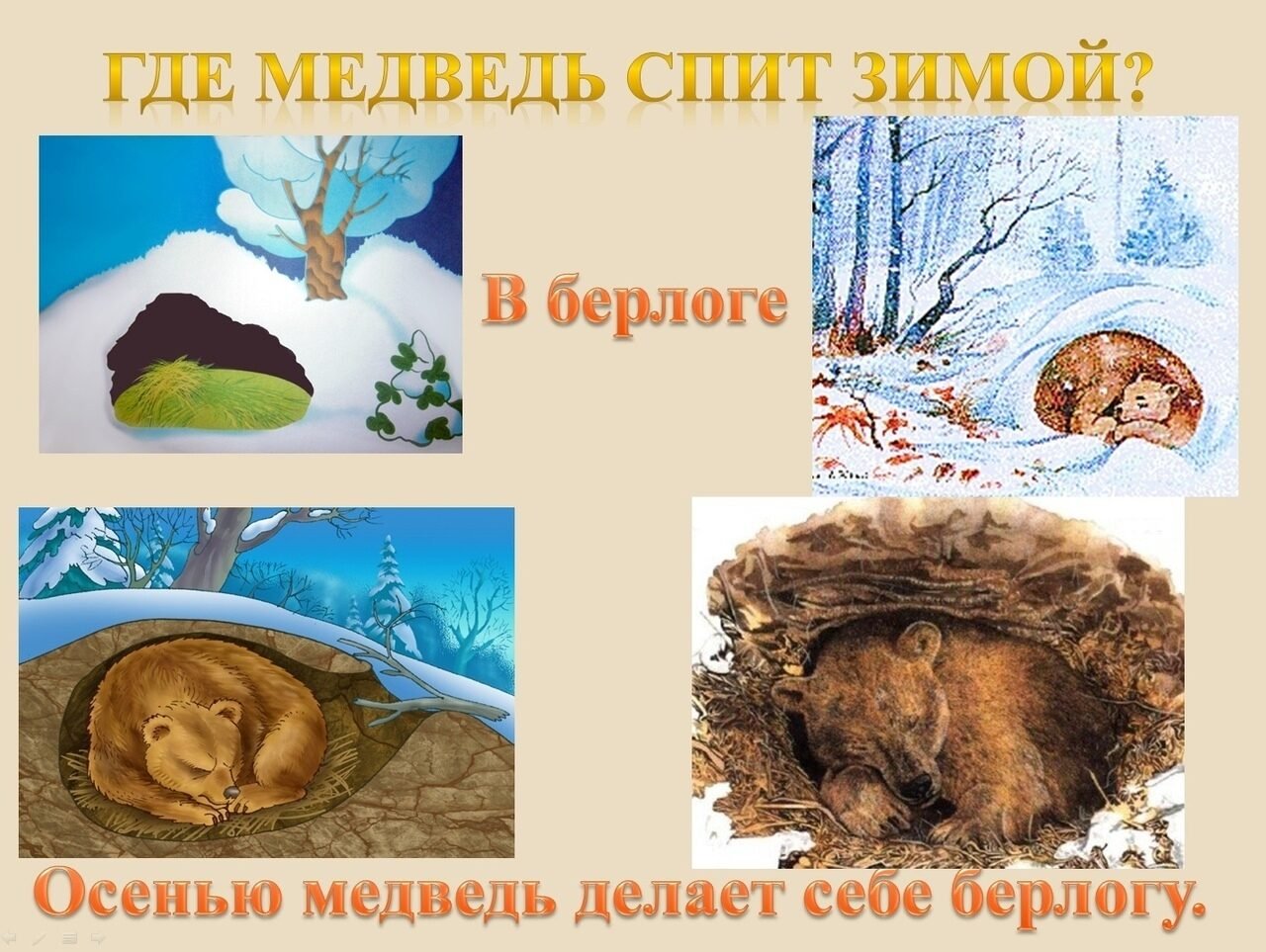 Зимняя спячка является явлением живой природы. Спящий медведь зимой в берлоге. Берлога медведя. Медведь зимой в берлоге. Медведь готовится к зиме.