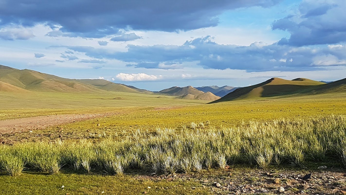 Степи Монголии