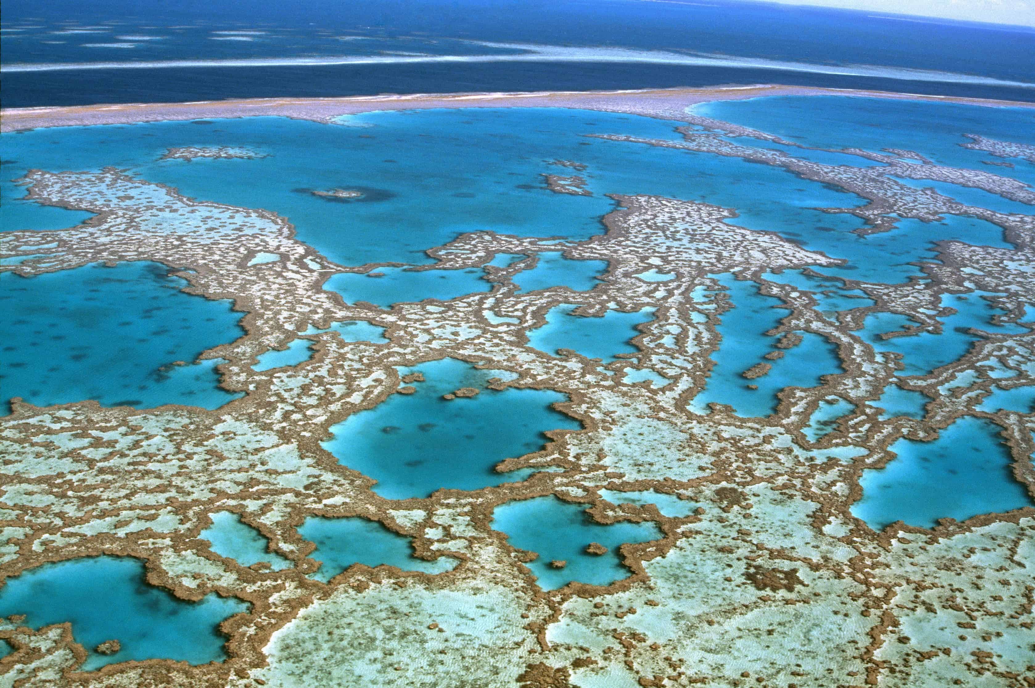 Крупные острова на северо востоке австралии. Большой коралловый риф в Австралии. Великий Барьерный риф Австралия. Большой Барьерный риф Квинсленд. Большой Барьерный риф ЮНЕСКО.