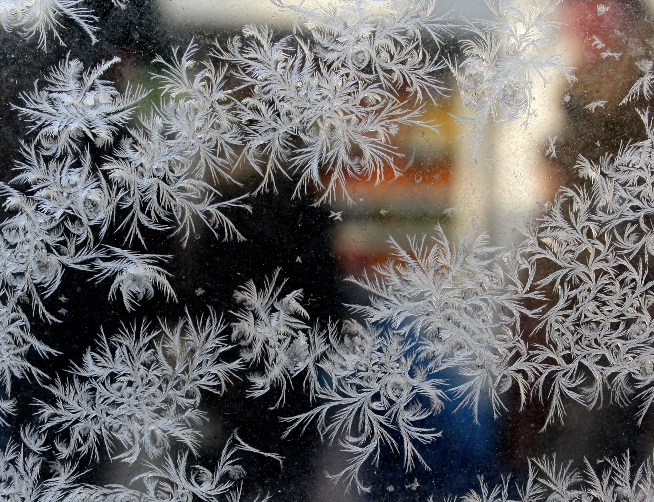 Мороз рисует на стекле узоры. Морозные узоры на окне. Узоры на окне зимой. Морозные узоры на стекле.