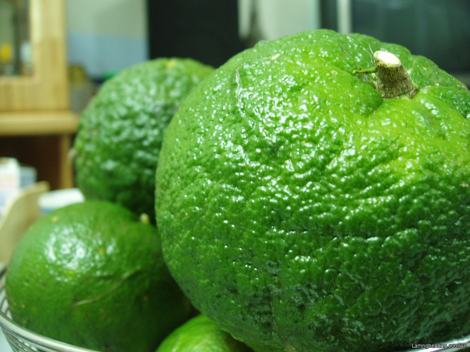 Фото зеленых фруктов. Померанец зеленый фрукт. Зелёный фрукт круглый. Фрукты зеленого цвета. Зелёный фрукт похожий на апельсин.