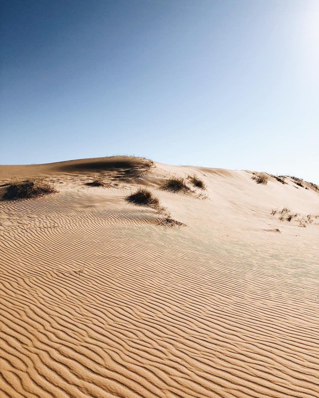 Украинская пустыня Алешковские Пески