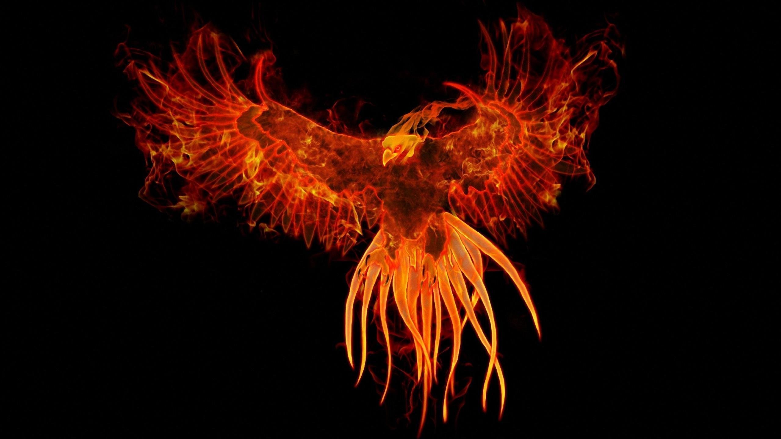 Phoenix rising. Fenix 184 184. Филипа Феникс. Рарог Сокол Феникс Финист. Филипа Феникс (Philypa Phoenix) Филипа Феникс.