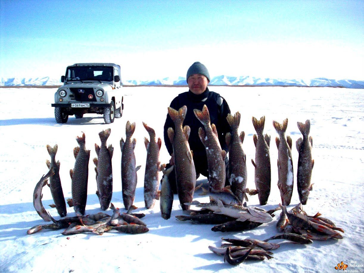 Какая рыба ловится в озере. Рыбалка на озере Байкал зимой. Подледная рыбалка на Байкале. Рыбалка на озере Байкал щука. Рыбаки на Байкале.