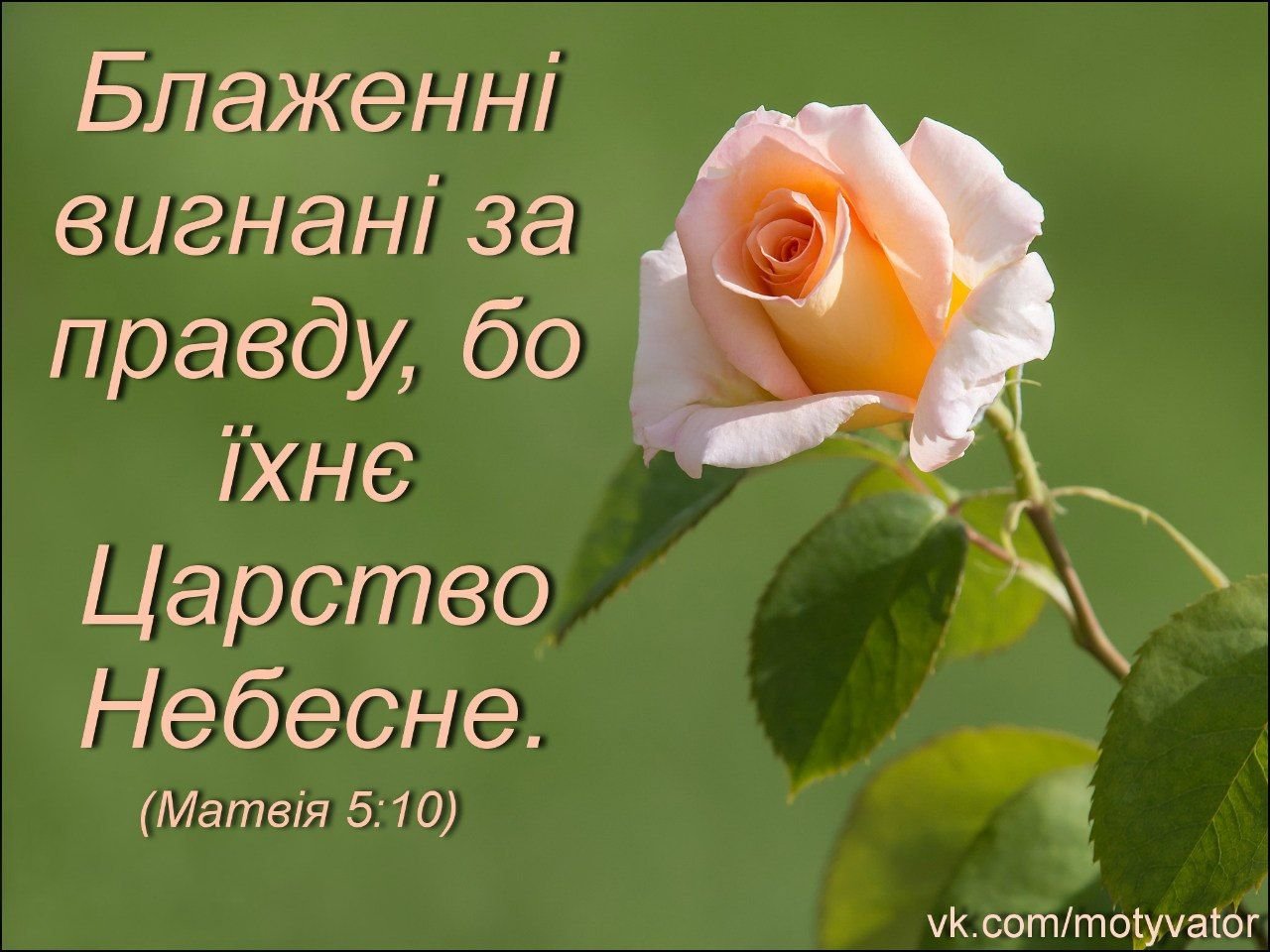 Благословенные открытки. Благословение цветы. Божьих благословений в новом дне. Доброго дня и обильных Божьих благословений открытки. Обильных Божьих благословений христианские открытки.