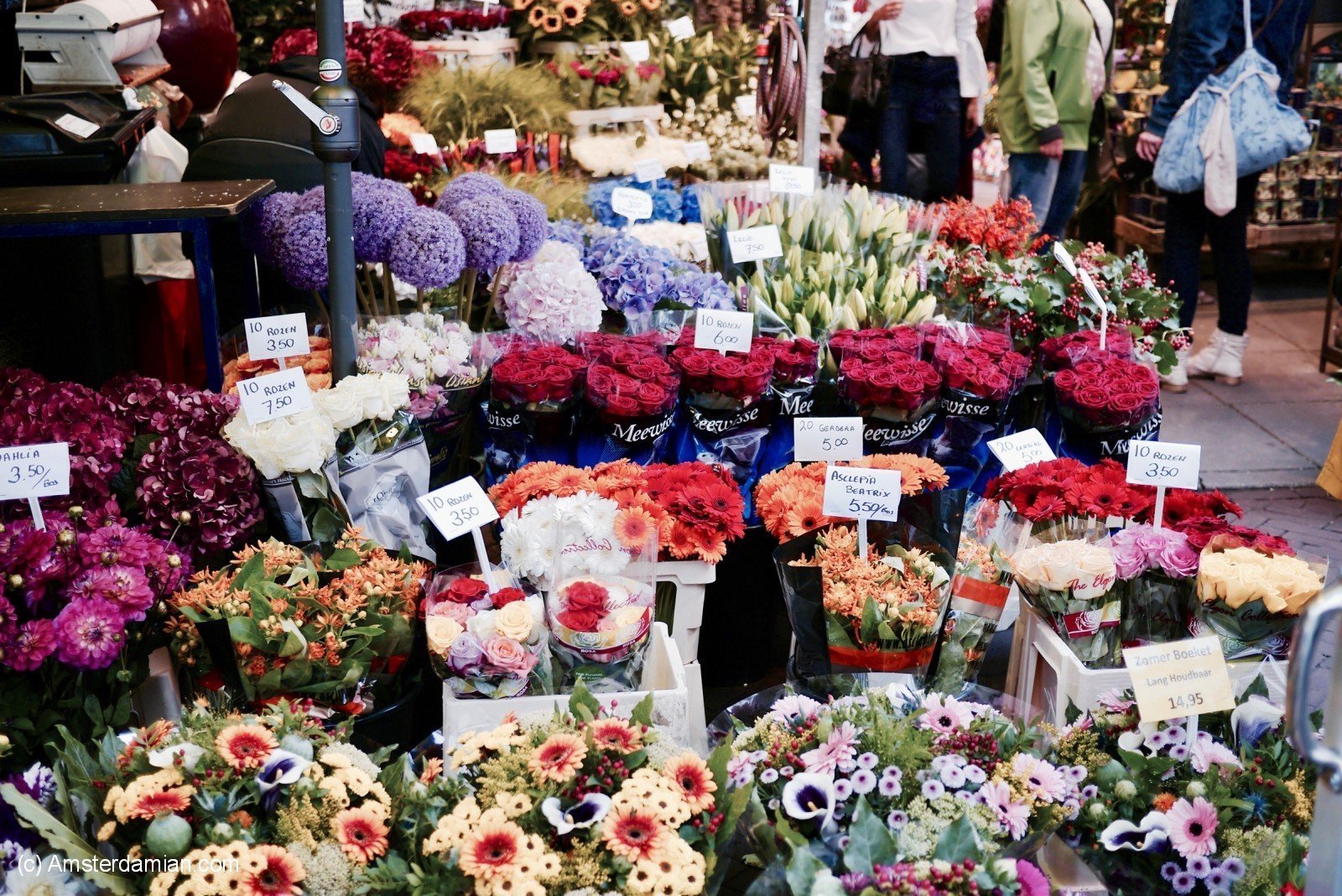 Рижский рынок цветов. Рижский рынок Нобилис. Рижский рынок гипсофилы. Рижский рынок кустовые розы.