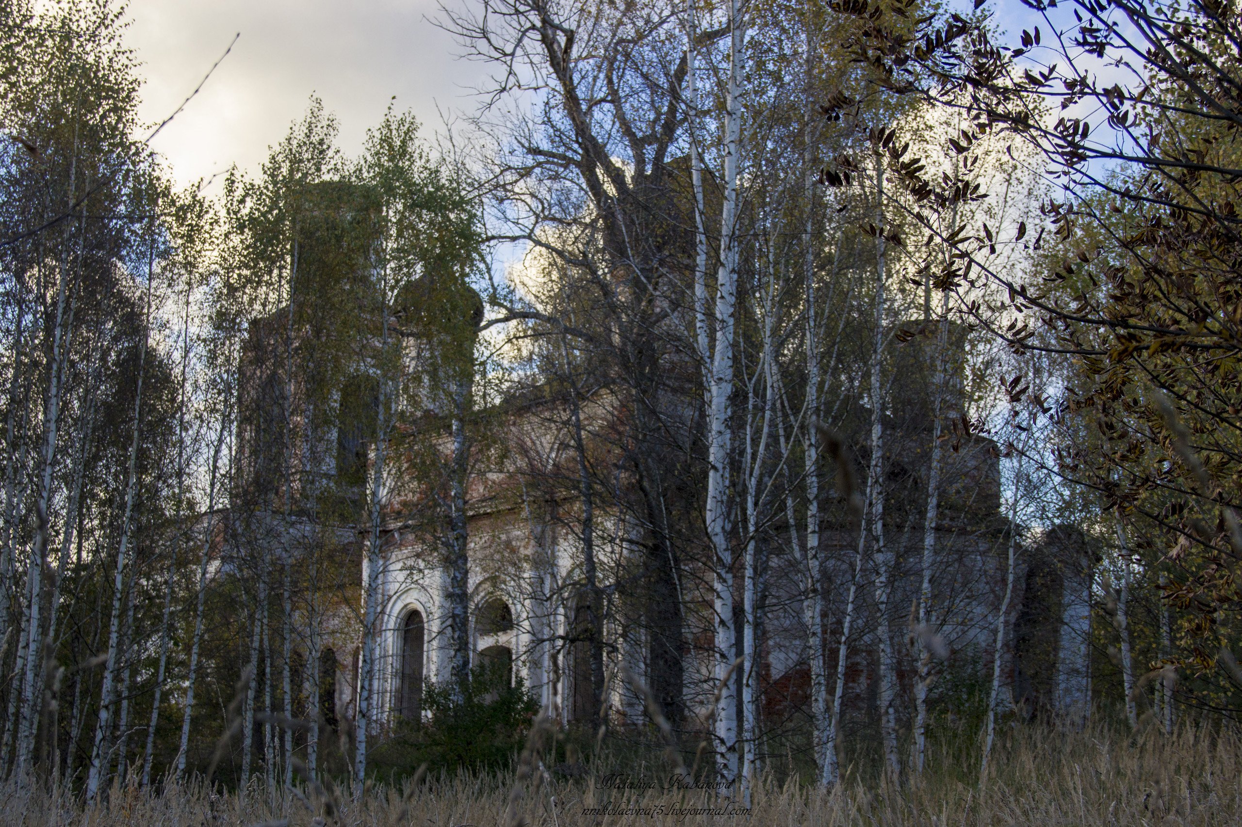 Заброшенные деревни Темниковского района