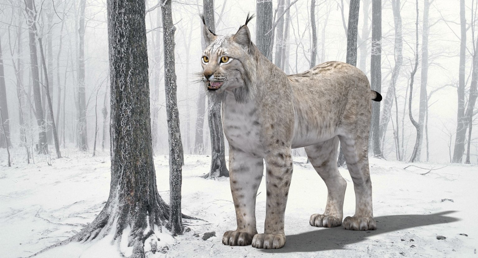 White Lynx