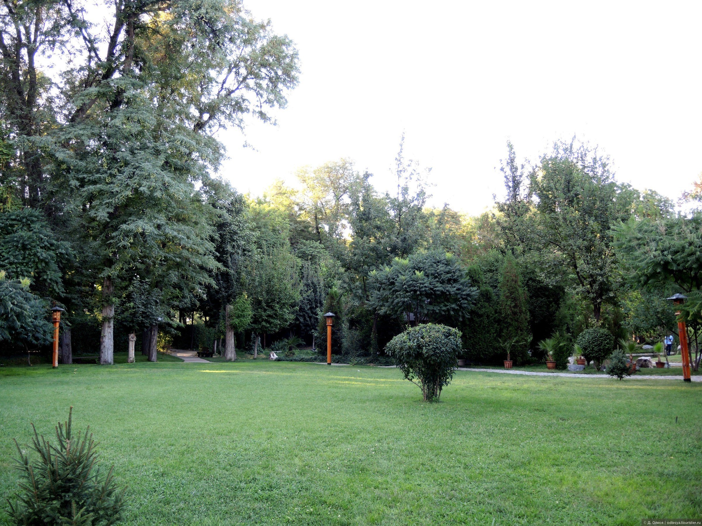 Ботанический сад ташкент