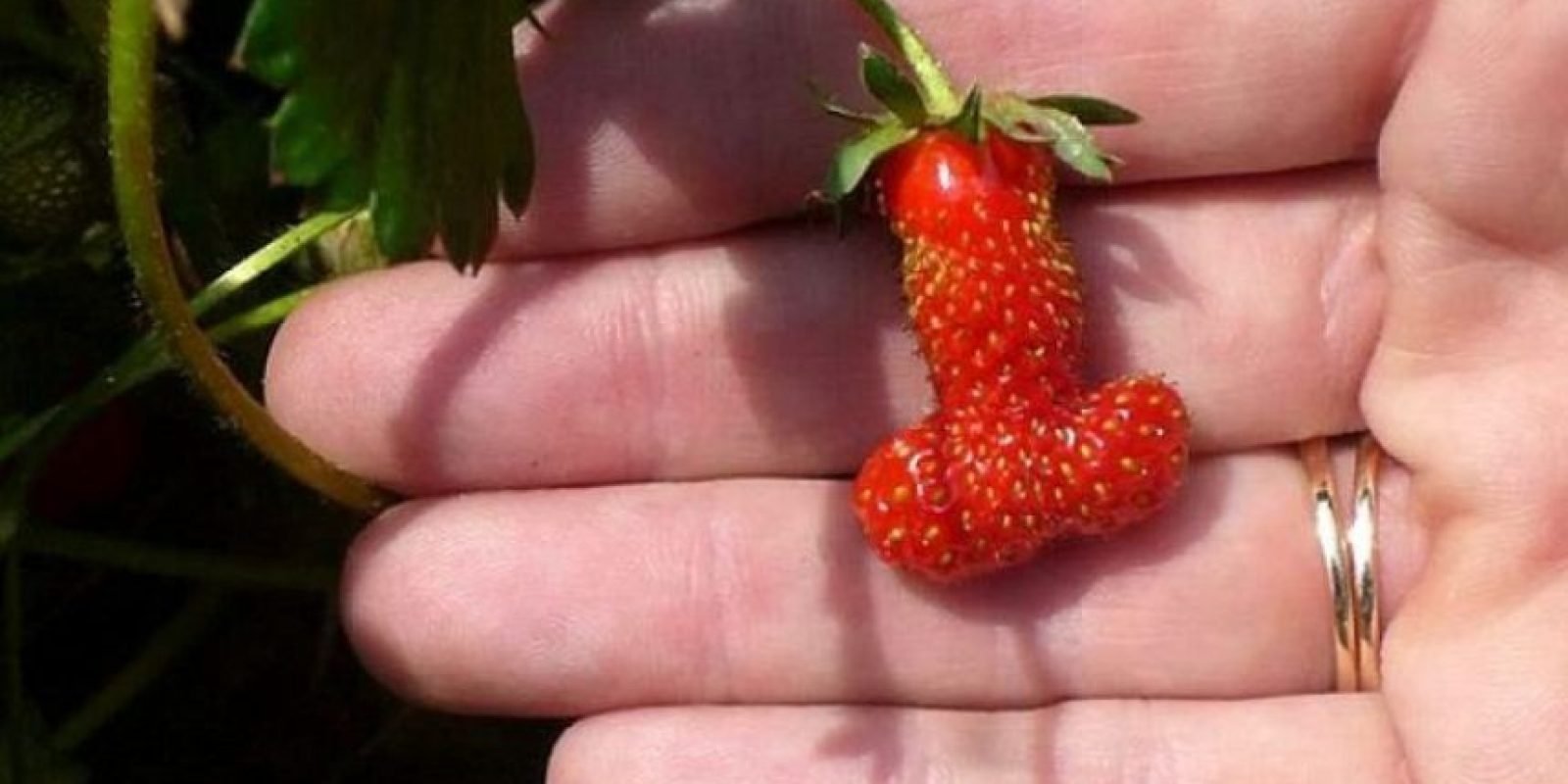 Маленькая ягода похожа