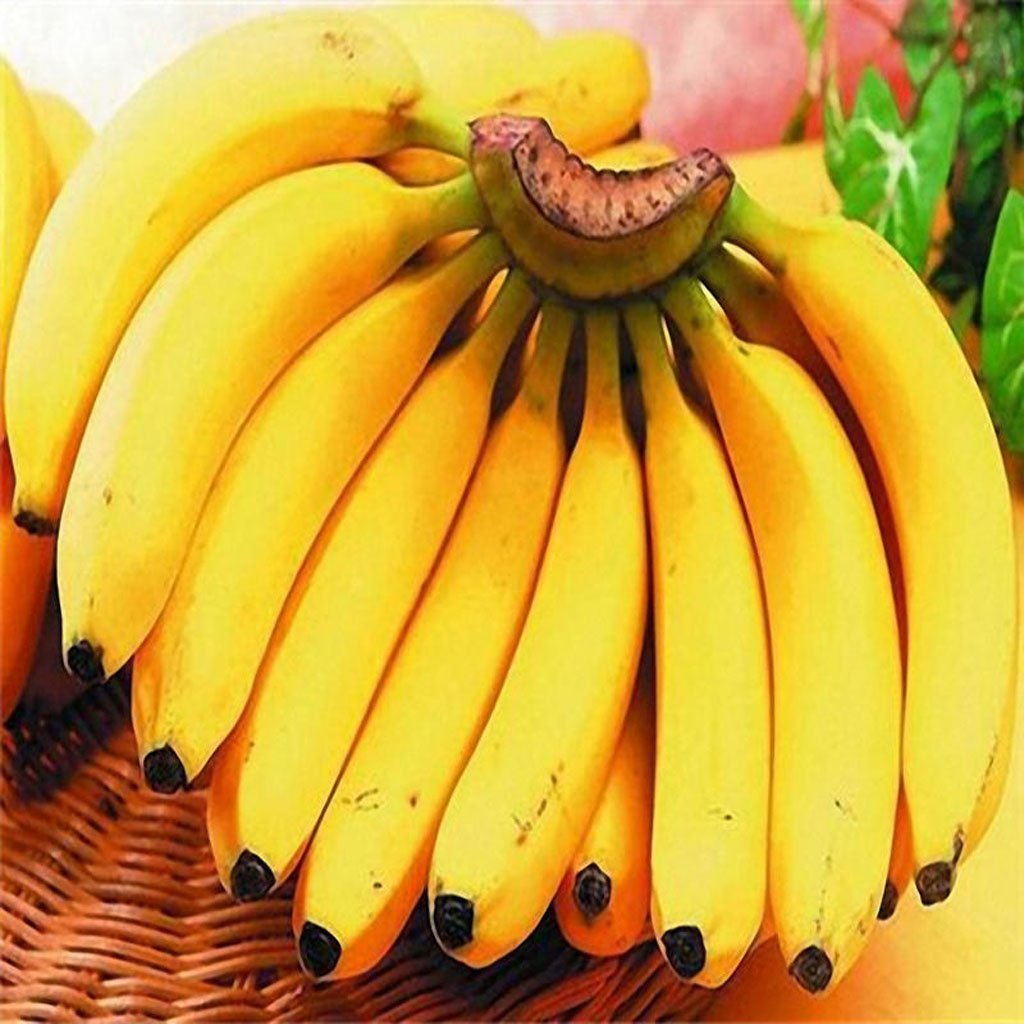 В чем польза бананов. Банан. Разноцветные бананы. Банан фото. Органические бананы.