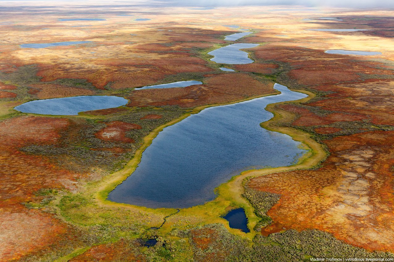 Термокарстовые озер Ямала