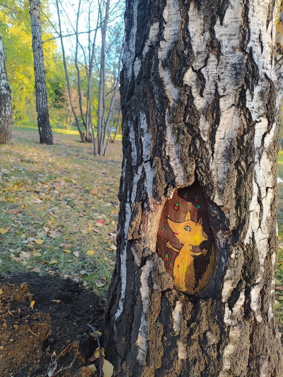 Рисунки в дупле дерева