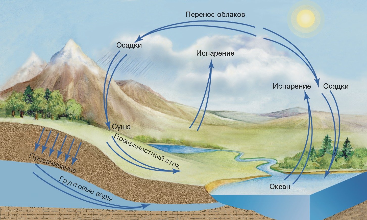 Этапы формирования воды в природе. Круговорот воды в атмосфере. Круговорот воды в природе гидросфера атмосфера литосфера. Круговорот испарения воды. Круговорот воды схема испарение с поверхности суши.