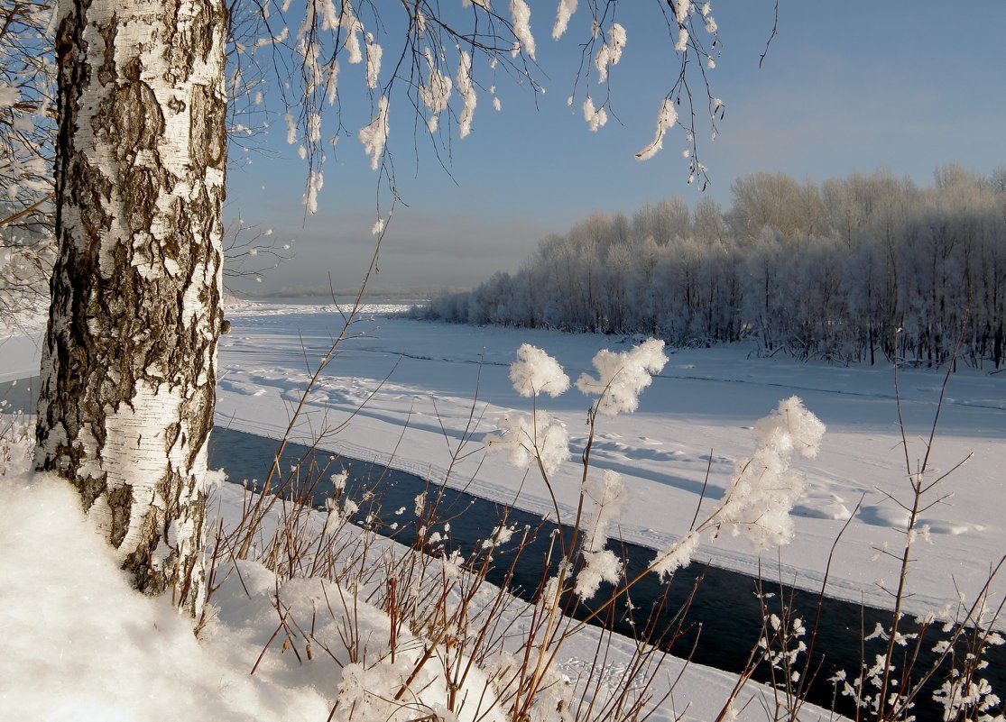 Рязанская природа зимой