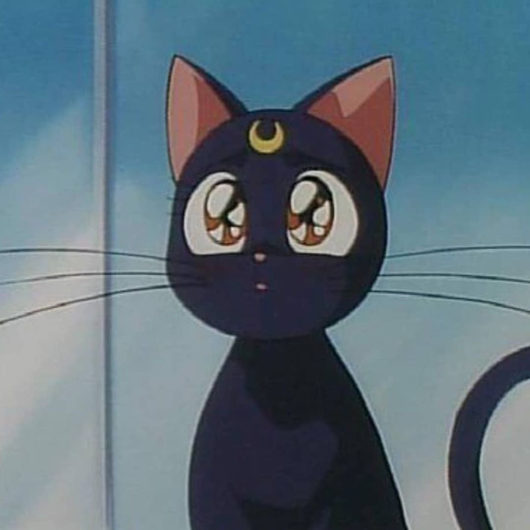 Кошка муна. Сейлормун Луна. Сейлормун кошка Луна. Сейлор Мун Луна и Артемис. Sailor Moon Луна кошка.