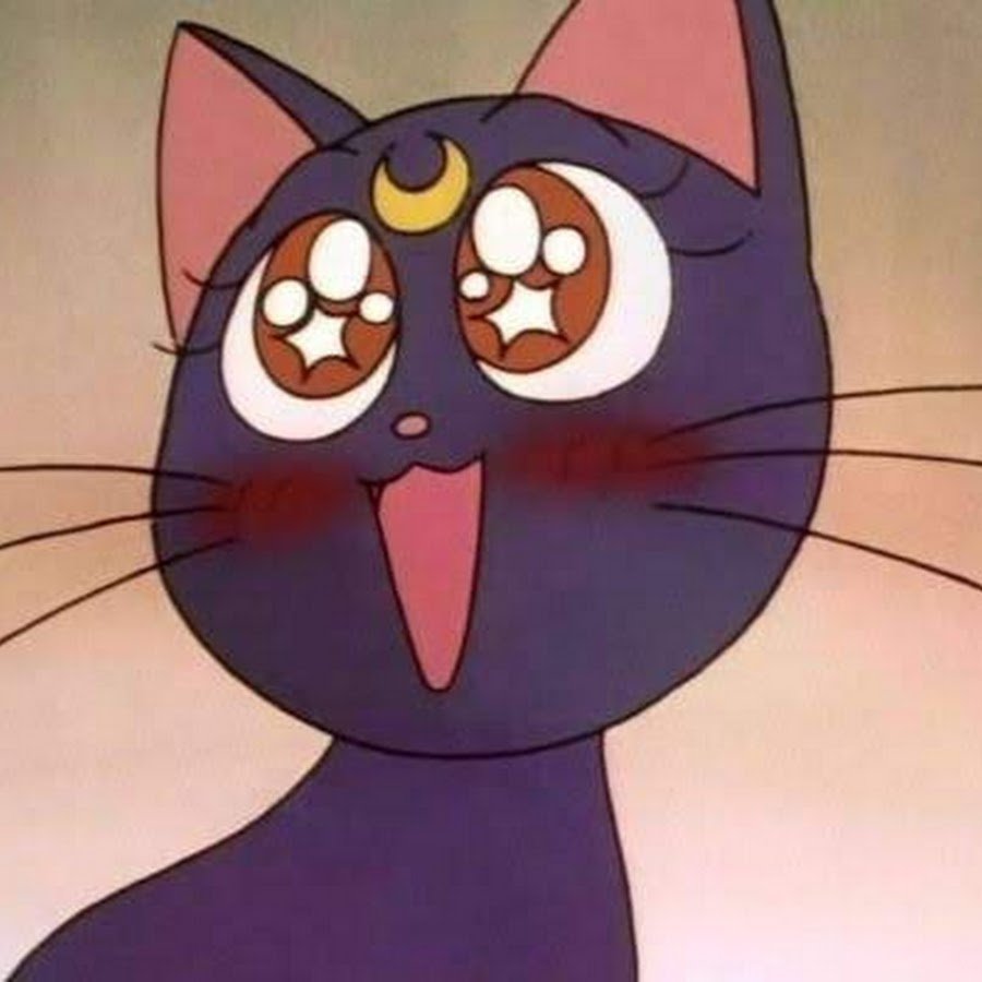 Кошка муна. Сейлормун кошка Луна. Кошка Луна из Сейлор Мун. Sailor Moon Луна кошка. Сейлормун кошка Луна персонажи.