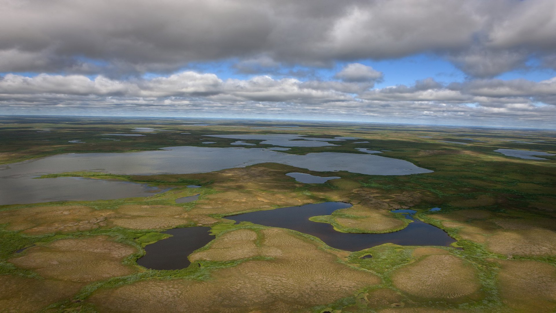 2 озеро на полуострове таймыр. Тундра полуостров Ямал. Озеро Портнягино Таймыр. Тундра Таймыра. Болота на полуострове Таймыр.