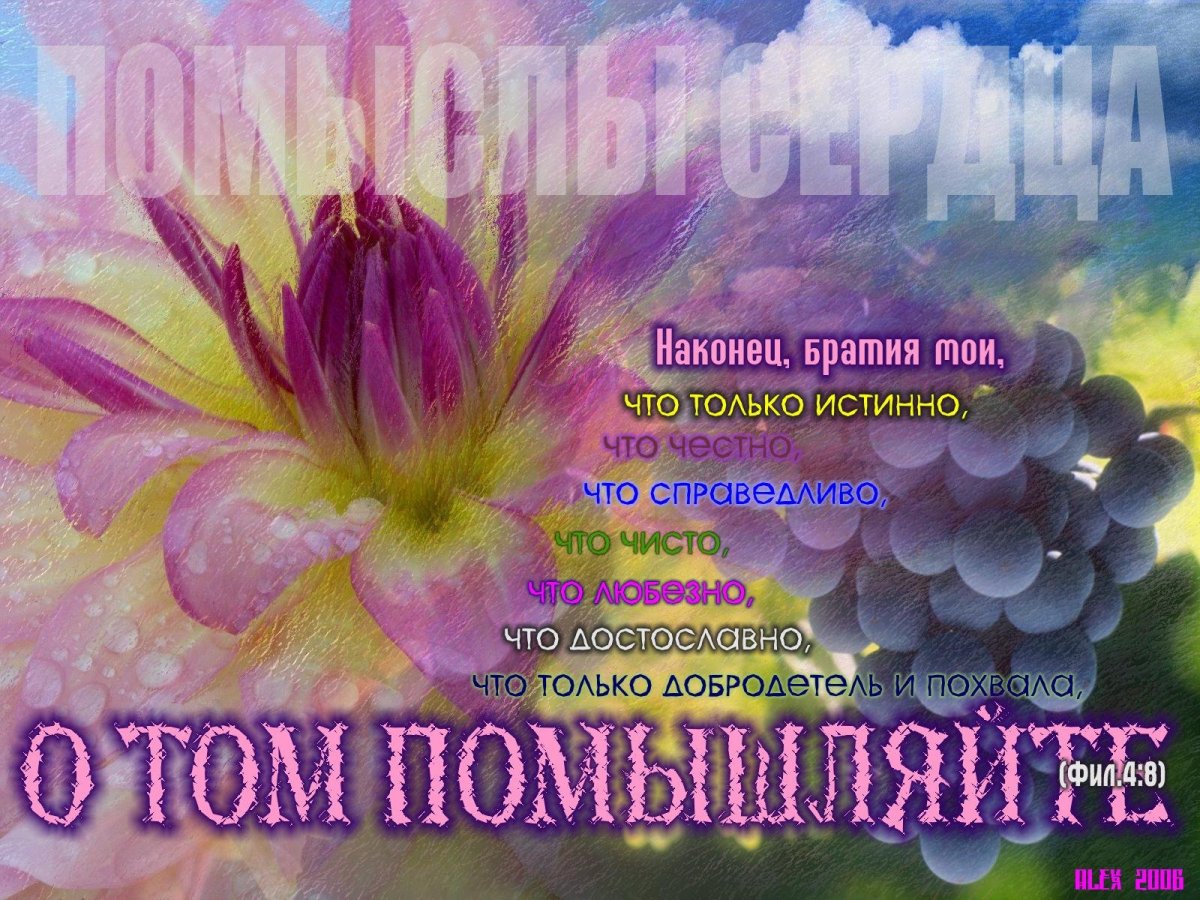 Кофе и цветы на белом фоне