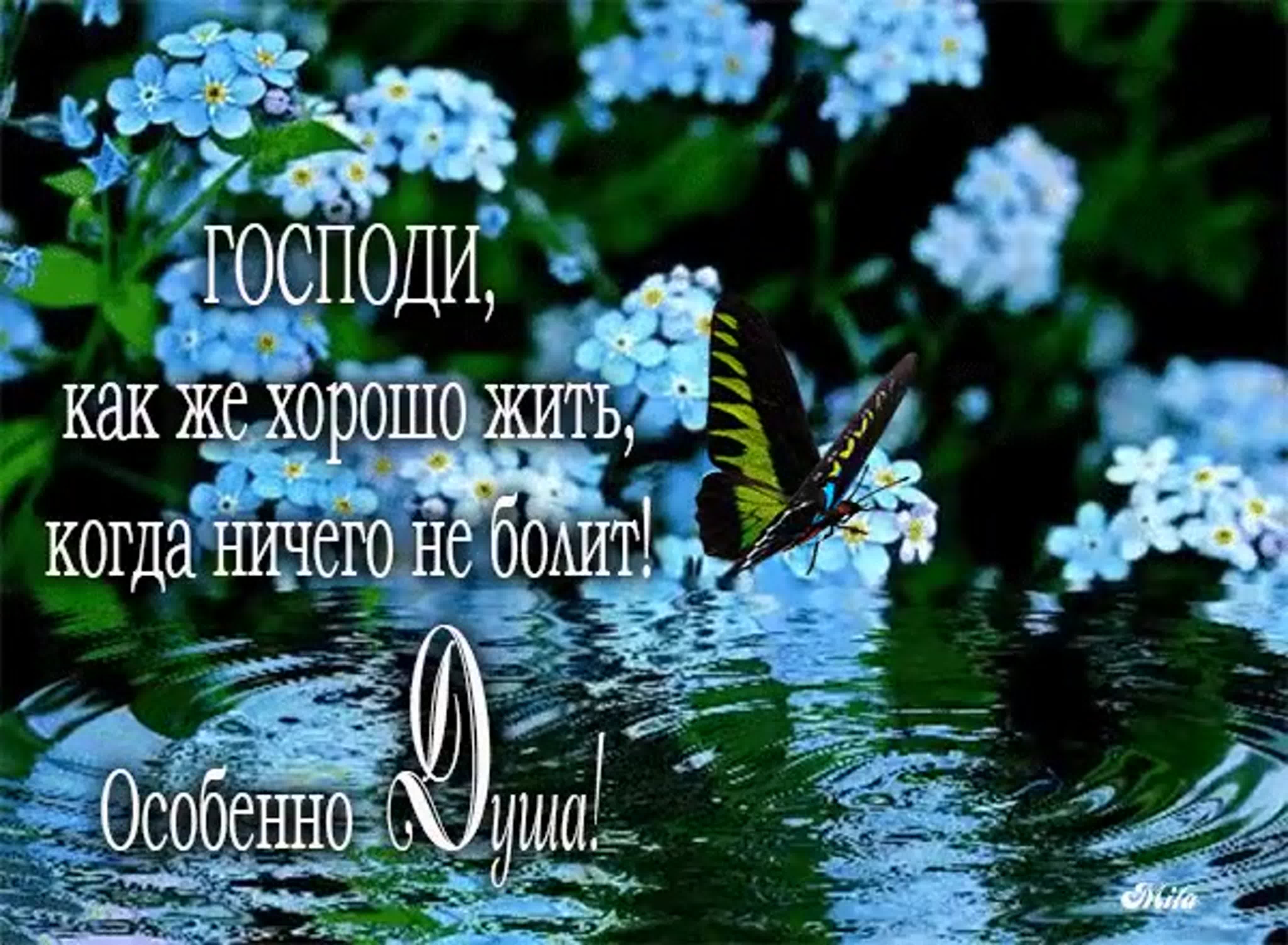 С добрым утром благословенного дня картинки душевные с позитивом