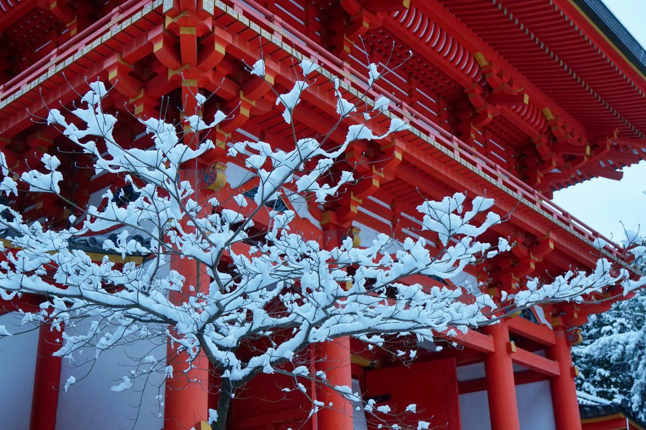 Киото храм Сакура зимой