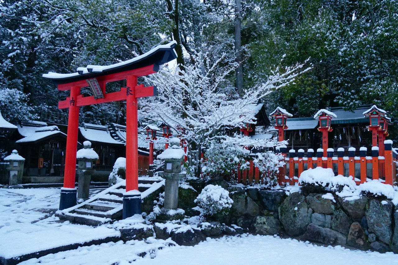 Аллея философов Киото зима