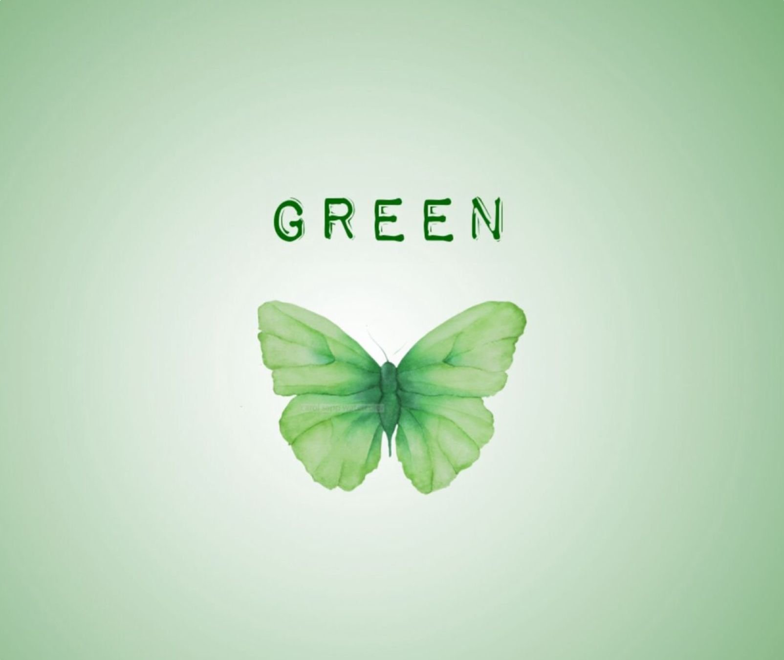 Зелёные обои Эстетика