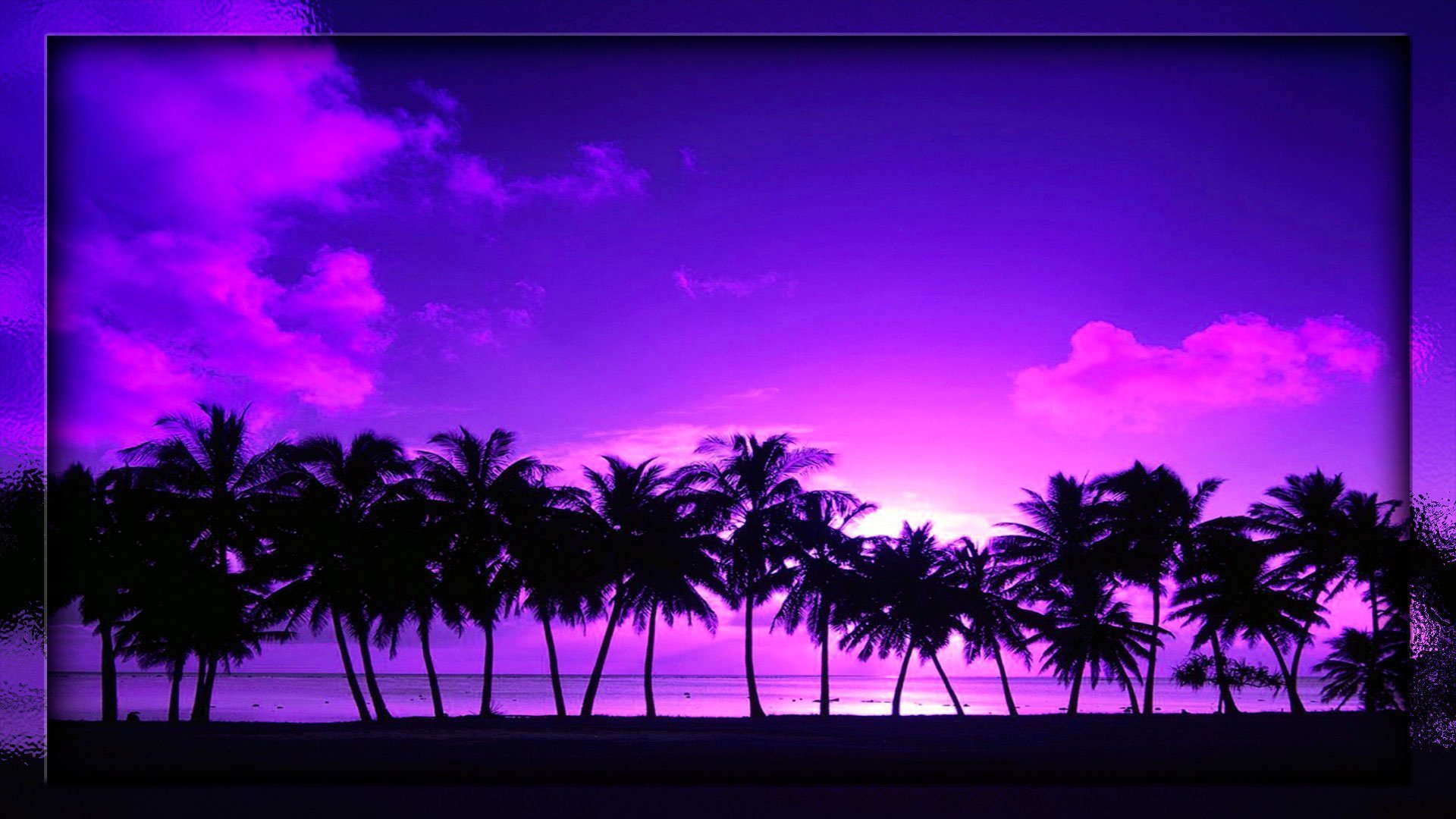 Неоновый закат. Хотлайн Майами пальмы. Майами неон, ультрафиолет. Фиолетовый закат. Фиолетовые пальмы.