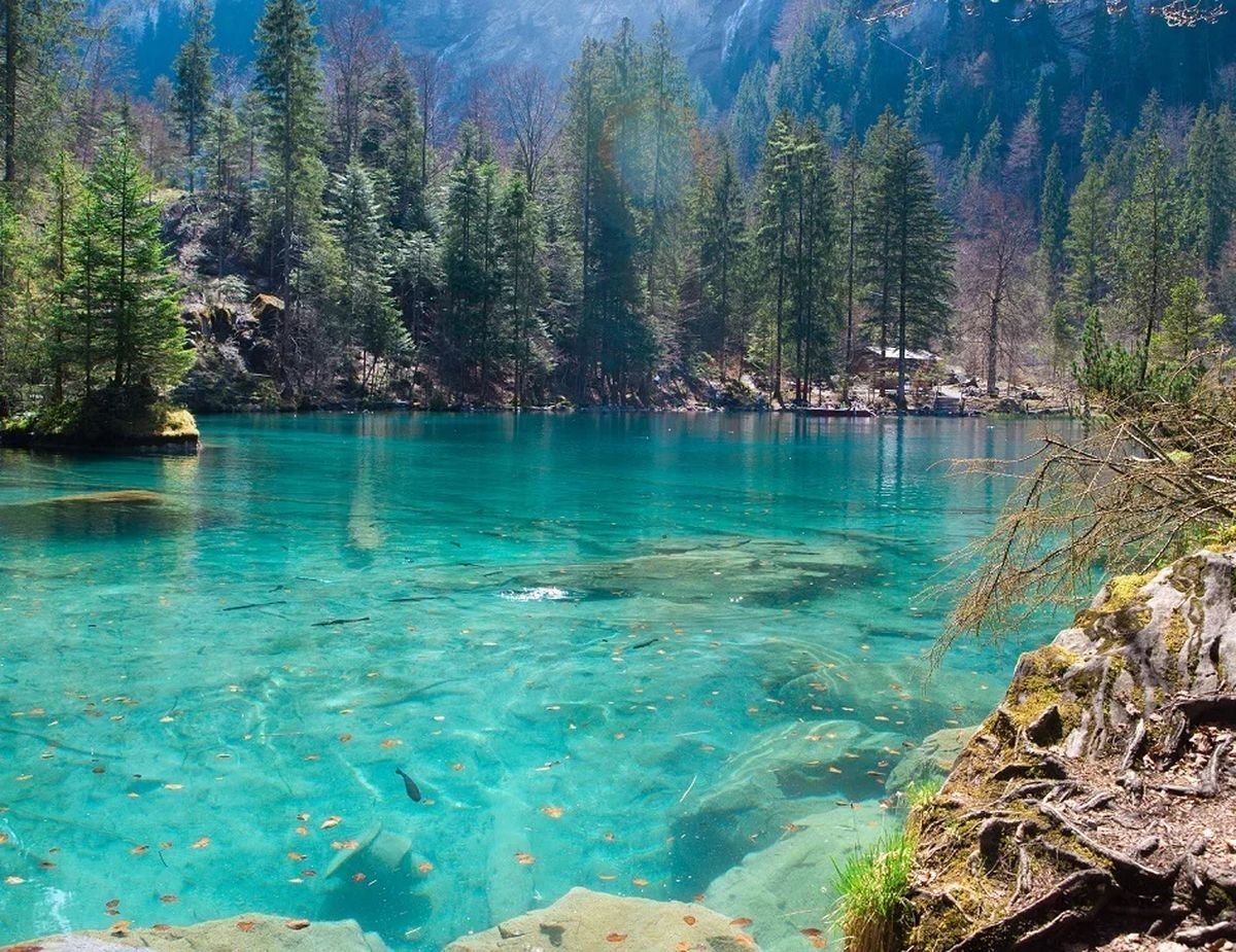 Озеро с синей водой. Озеро Блаузее Швейцария. Блаузее голубое озеро Швейцария. Голубое озеро Нельсон в новой Зеландии. Озеро Блаузее, Швейцария лето.