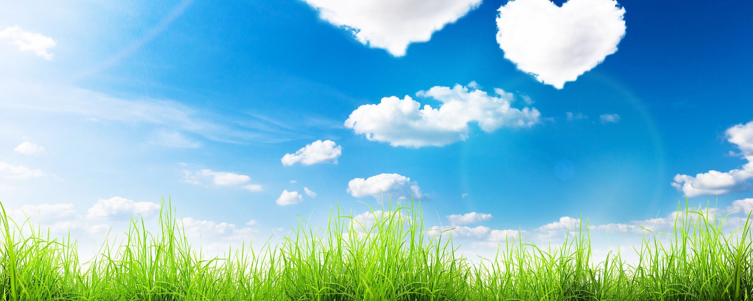 Фон трава и небо - фото и картинки: 65 штук