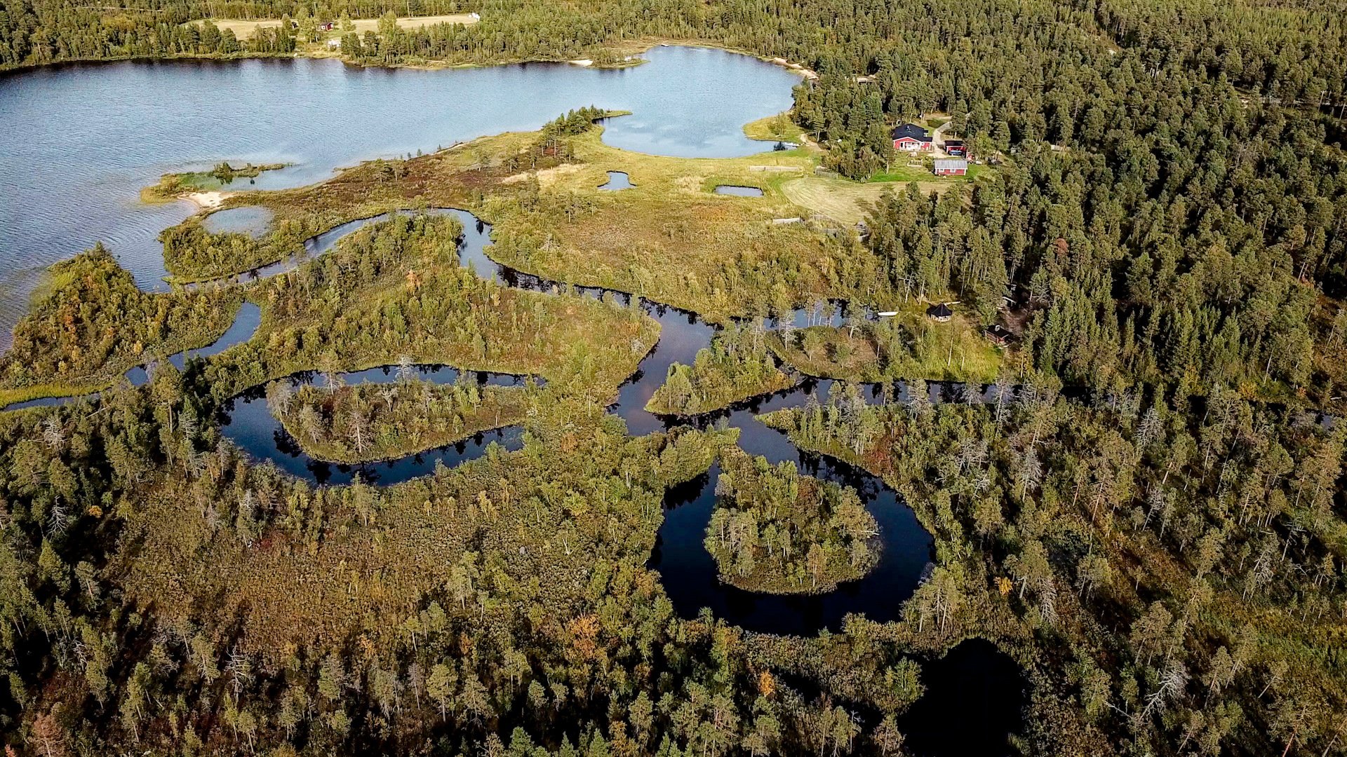 Тысяча озер где. Озеро Штерн Финляндия. Озеро Суоми Финляндия. Финские озера Финляндия. Озеро Оулуярви Финляндия.